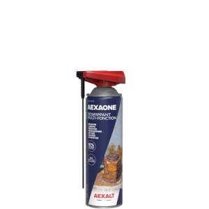 AEXAONE AÉROSOL - 650 ML