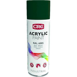 PEINTURE RAL6005 VERT MOUSSE 520ML