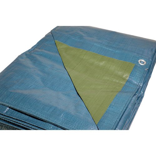 BACHE SR150 8 M X 12 M VERTE ET BLEUE